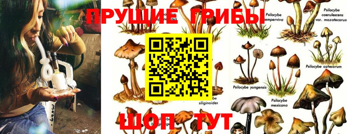 Псилоцибиновые грибы мухоморы Новоуральск